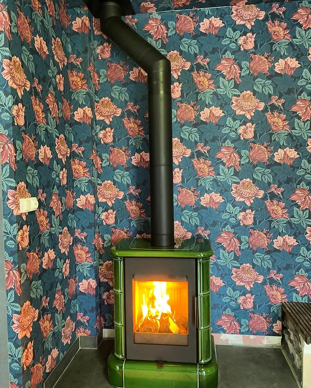 Installation d'un poêle à bois rustique Siena N 01