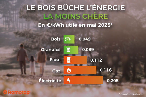 Chauffage au bois : l’énergie la plus économique pour réduire sa facture
