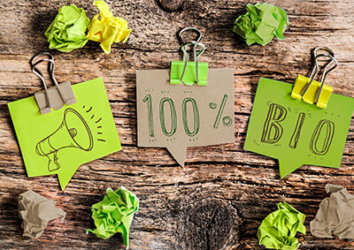 Pourquoi choisir un poêle à bois ? écologie, empreinte carbone, impact environnemental...