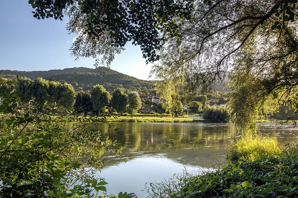 Poele a bois Loire