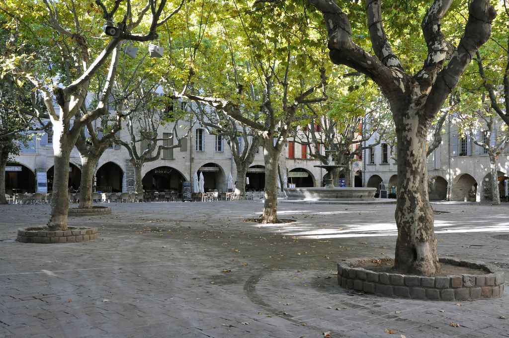 Poele a bois Uzès